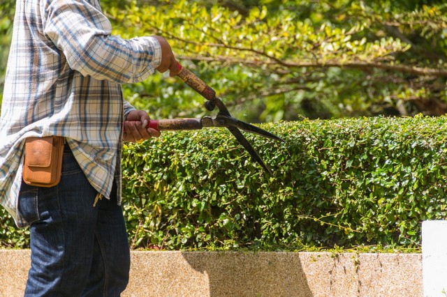 Garden Maintenance Bethnal Green, E2